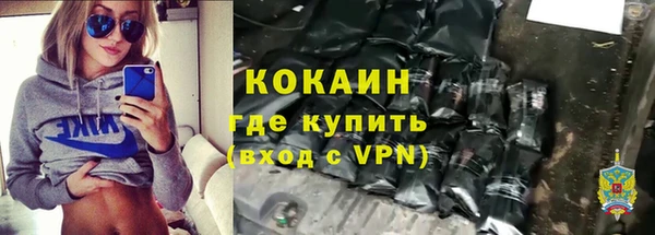 кокс Гусев